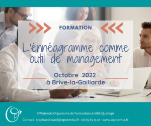 Lire la suite à propos de l’article Octobre 2022 : L’énnéagramme comme outil de management